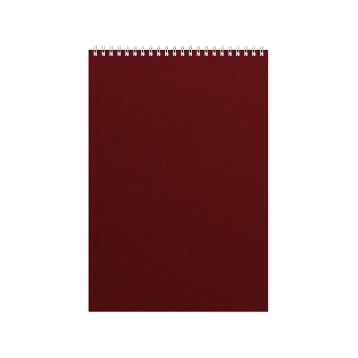 Бизнес - блокнот Альт А4 (198 х 285 мм) 